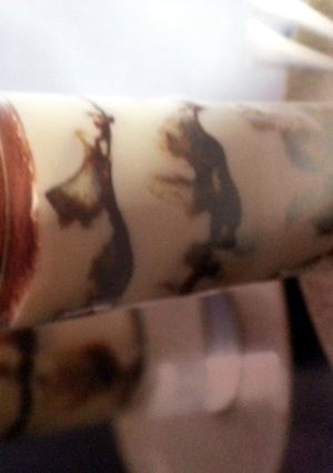 A picture of tiramisu (speacial).