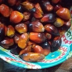 A picture of Palm fruit snack.