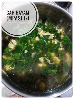 Foto resep Cah Bayam (MPASI 1+)