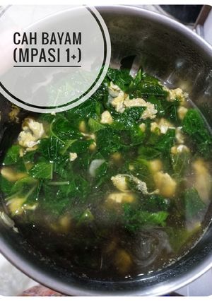 Foto resep Cah Bayam (MPASI 1+)