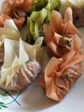Tofu Skin Wonton Dumplings