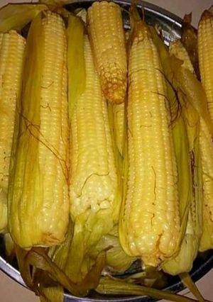 A picture of Soft Maize - boiled #4weekschallenge#authormarathon#.