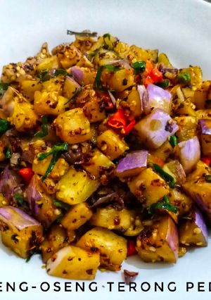 Foto resep Oseng-Oseng Terong Pedas