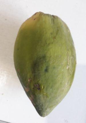 Una foto de Tortilla de mamón