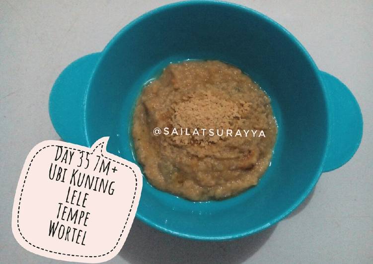 Rahasia Memasak Mpasi 7m Ikan Lele Yang Gurih