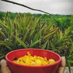 A picture of Phodni chi Poli | Leftover Roti Poha.