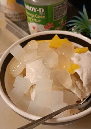 รูปของ ไอศครีมกะทิทรงเครื่อง สูตรทำเองง่ายๆ ใช้กะทิกระป๋อง 🥥🍦