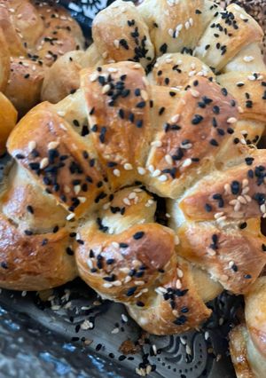 عکسی از دستور بورک حلزونی