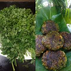 A picture of शेवग्याच्या पानाची वडी / टिक्की/कटलेट (shevgachua panachi vadi recipe in marathi).