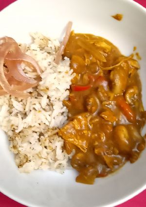 A picture of Chicken curry 🍛.