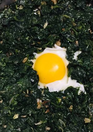 عکسی از دستور نرگسی اسفناج