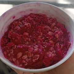 A picture of Red Oatmeal.