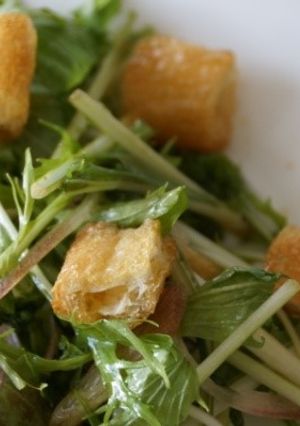 A picture of Mizuna and Aburaage Salad.