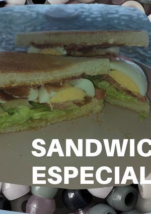Una foto de Sándwich especial 🥪