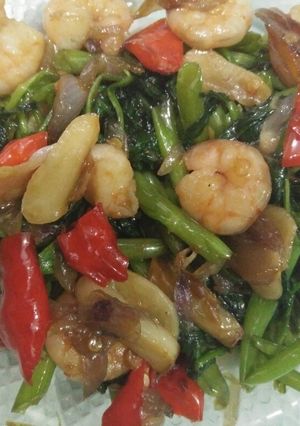 Foto resep Tumis Kangkung Udang