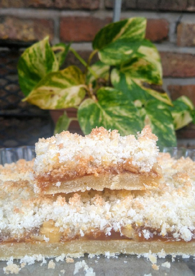Una foto de Cuadrados de coco y dulce de leche🤤🥥