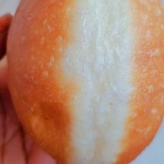 A picture of Bamboloni.