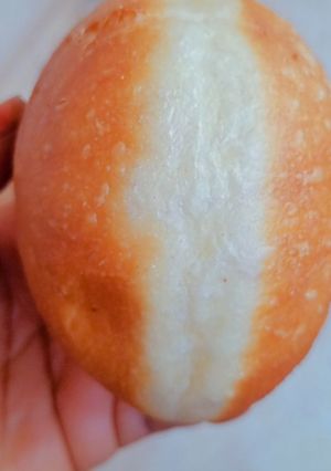 A picture of Bamboloni.