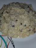 Risotto con setas (guarnición)