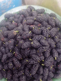 Una foto de Dulce de moras negras !!