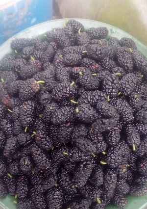 Una foto de Dulce de moras negras !!