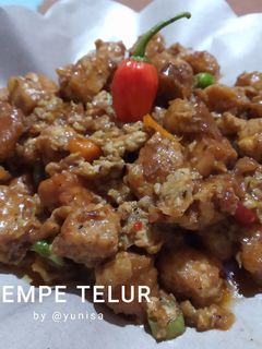 Foto resep Tempe telur