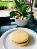 Alfajores mi Santi