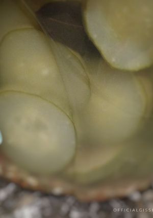 Una foto de Pepinos en vinagre { Suave }