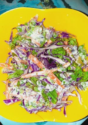 A picture of Colorful Salad.