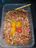 Teri Kecombrang (Teri Kencong)