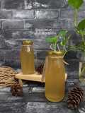 Kombucha Original Dengan Scoby