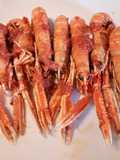 Langostines in a spicy tomato and prosecco sauce