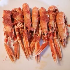 A picture of Langostines in a spicy tomato and prosecco sauce.