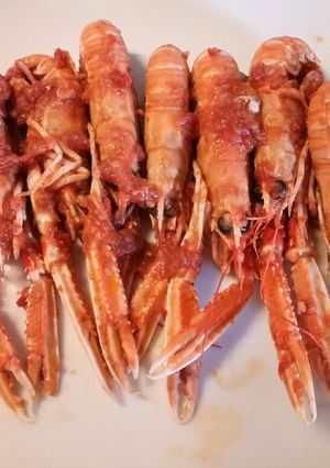 A picture of Langostines in a spicy tomato and prosecco sauce.