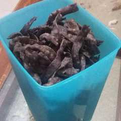 รูปของ Sistik ketan hitam
