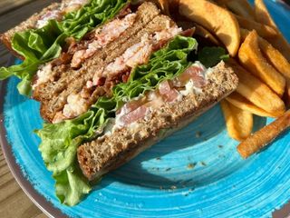 🥪 Sandes de frango