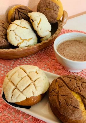 Una foto de Conchas