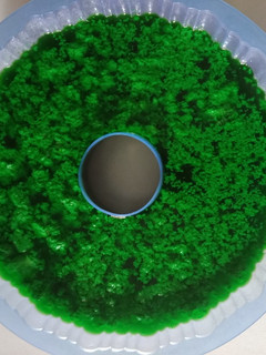 Foto resep Agar-agar berlumut