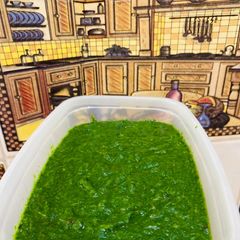 A picture of How to Store Spinach ?.