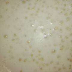 A picture of Sagudana kheer.