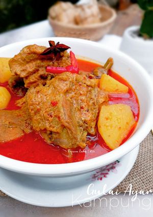 Foto resep Gulai Ayam Kampung
