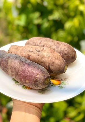 Hình của món Khoai Lang Nhật Luộc.