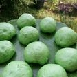 Bakpao Pandan Coklat