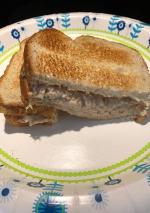 A picture of Tuna Fish 🐟.
