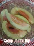 Setup Jambu Biji