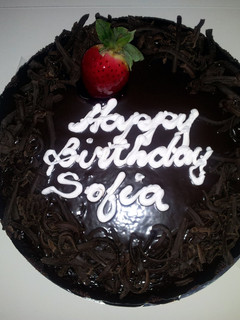 A picture of Simple chocolate cake.