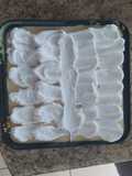 No-Bake Lemon Pie (Egg-Free, Easy)