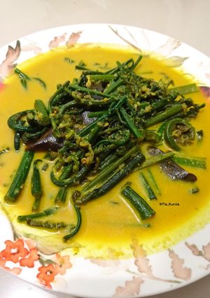 Foto resep Sayur Pakis Kuah Santan