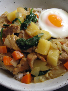 A picture of Curry Flavoured Pork Soup on Rice.