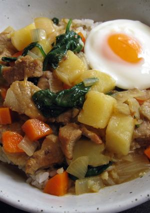 A picture of Curry Flavoured Pork Soup on Rice.